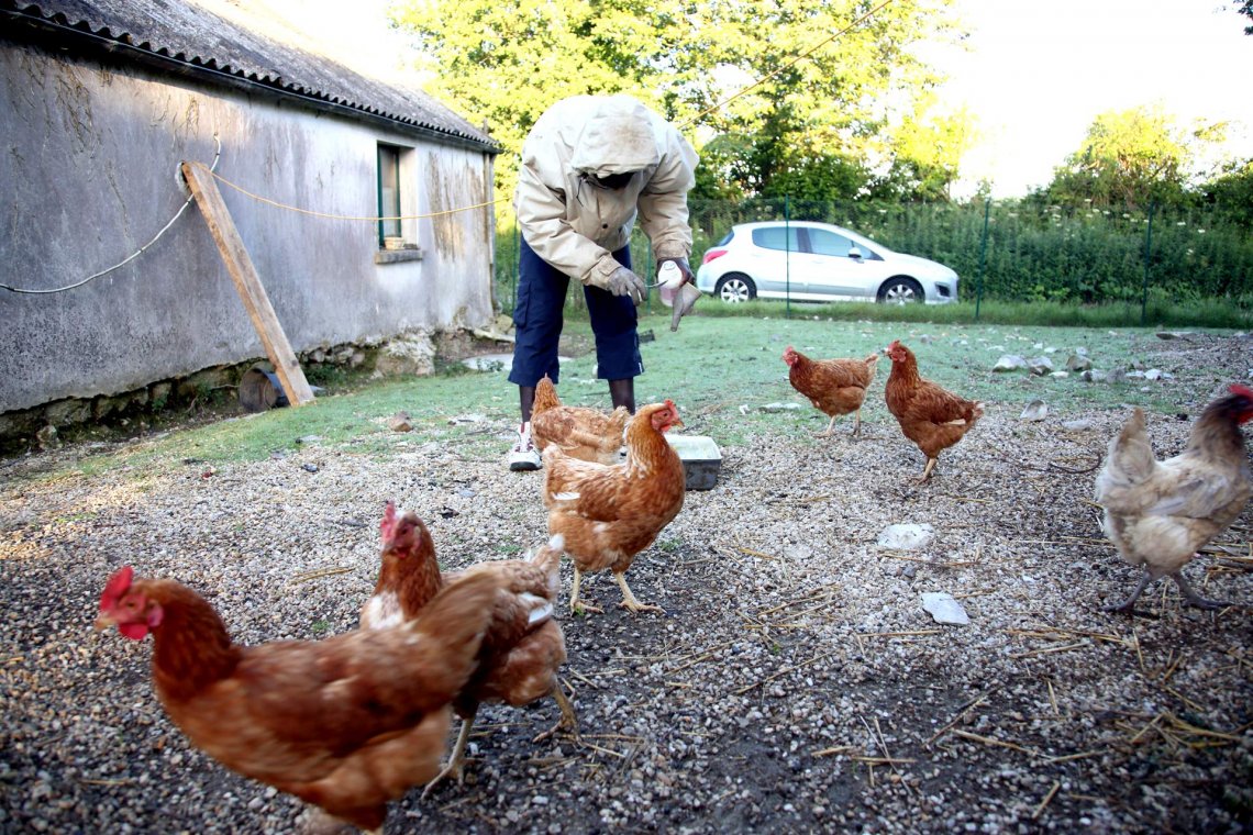 À lu0027école des Monts du0027Arrée, les réfugiés réapprennent à vivre 